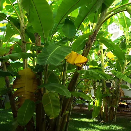 Hotel Crystal Kalamákion